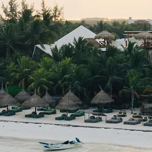 Casa Tortugas Petit & Mexico